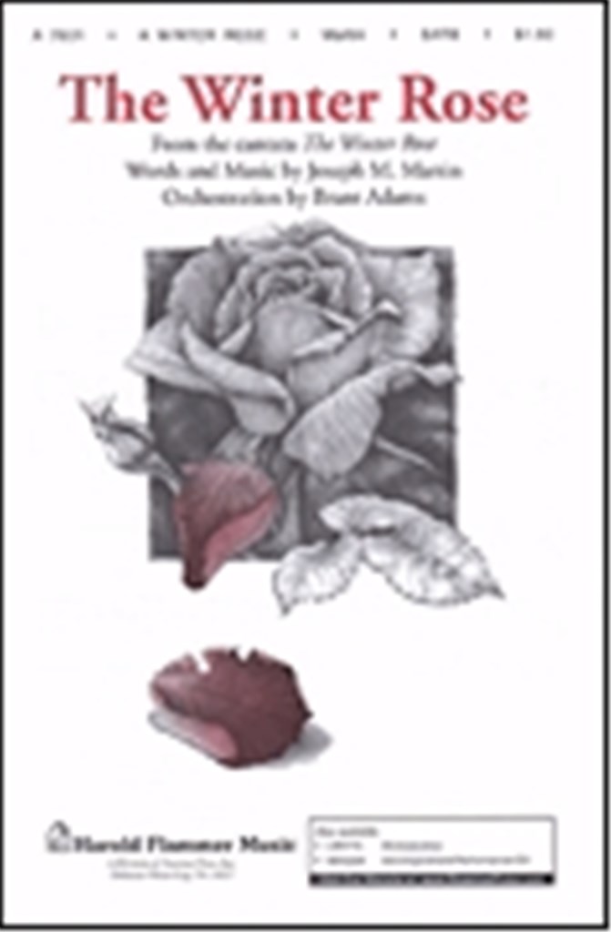 The Winter Rose